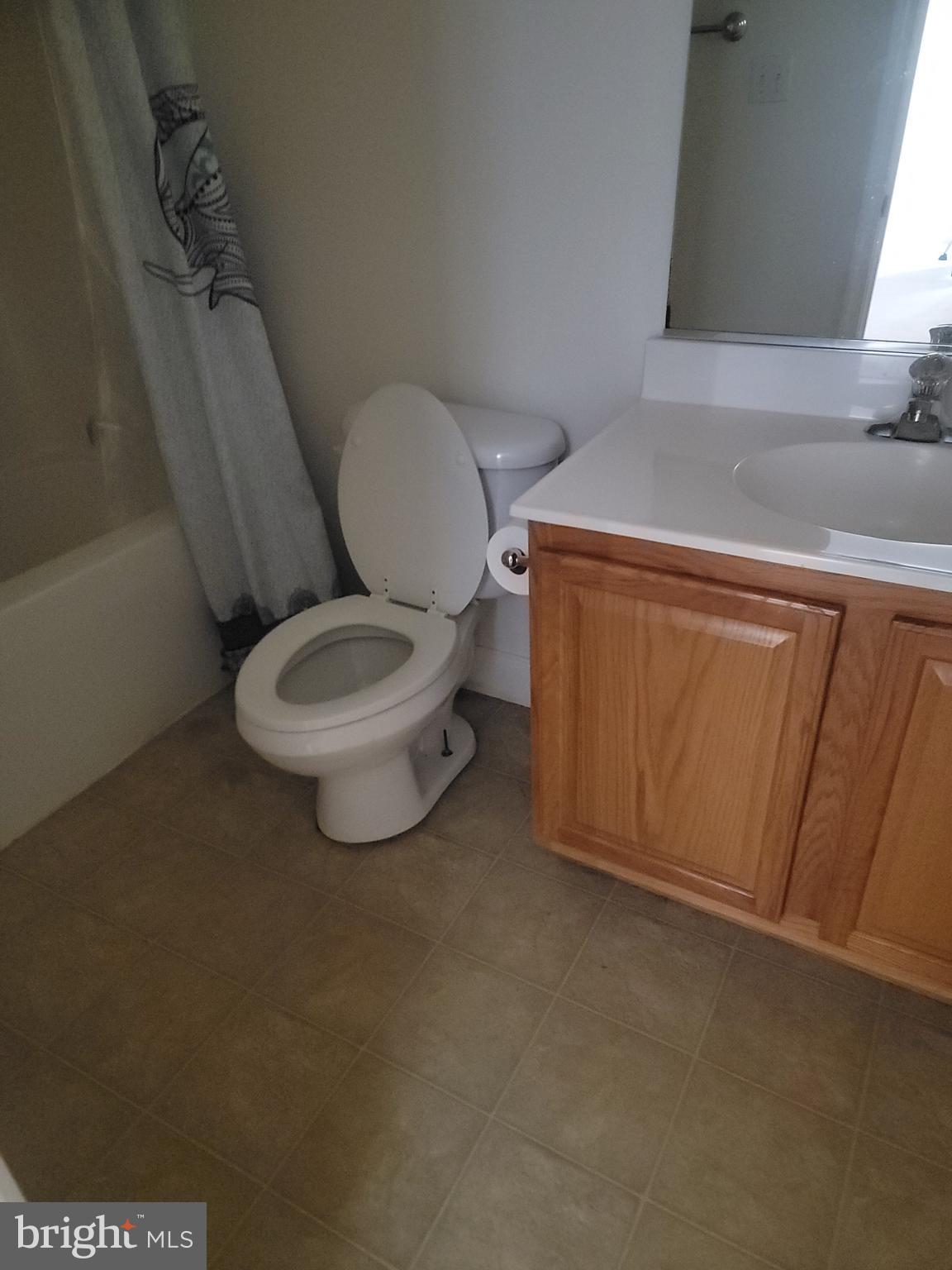 915 Virginia Avenue Culpeper, VA 22701 - Photo 21 of 24 a bathroom with a toilet and a sink