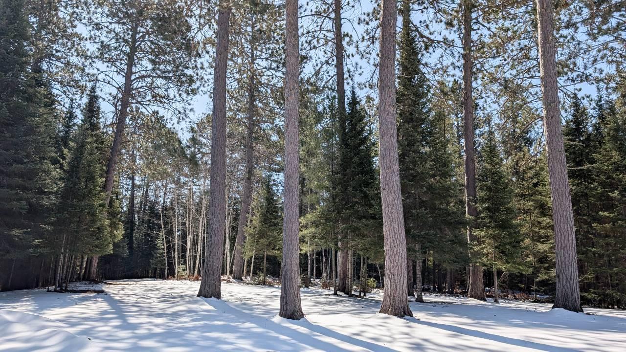 8832 River Road Angora, MN 55703 - Photo 24 of 35