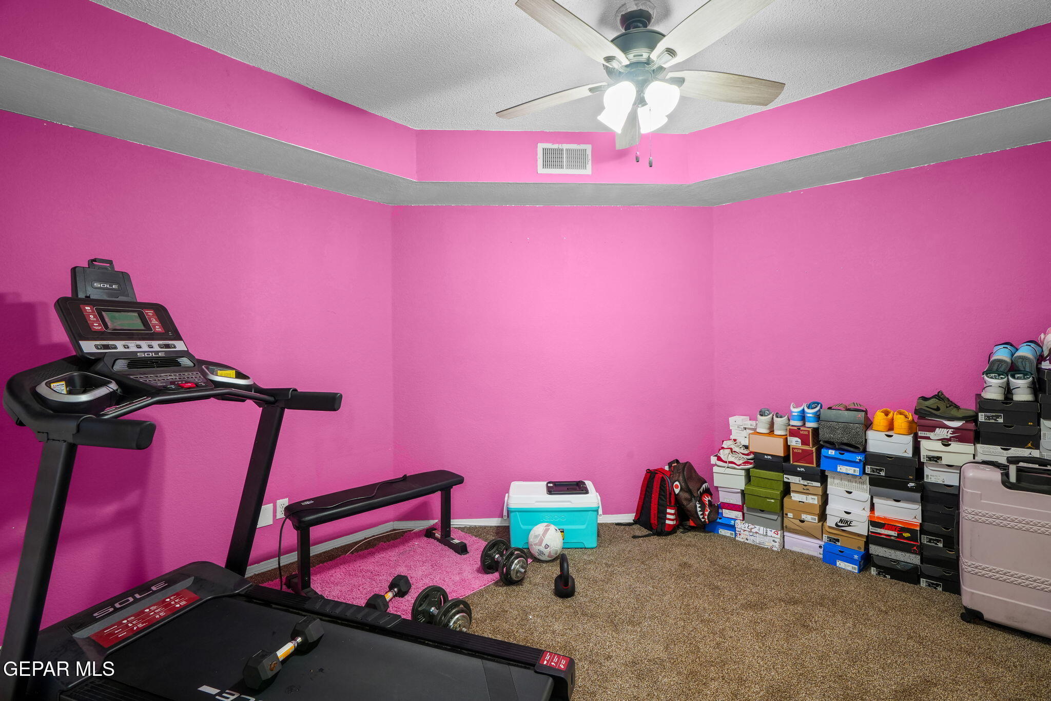 2013 Shadow Ridge Drive El Paso, TX 79938 - Photo 17 of 78 2013 Shadow Ridge Dr-16