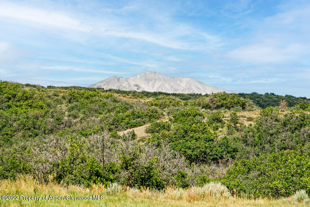 350 Rabbit Way Snowmass, CO 81654 - Photo 49 of 49 350RabbitWay_WEB_22072153