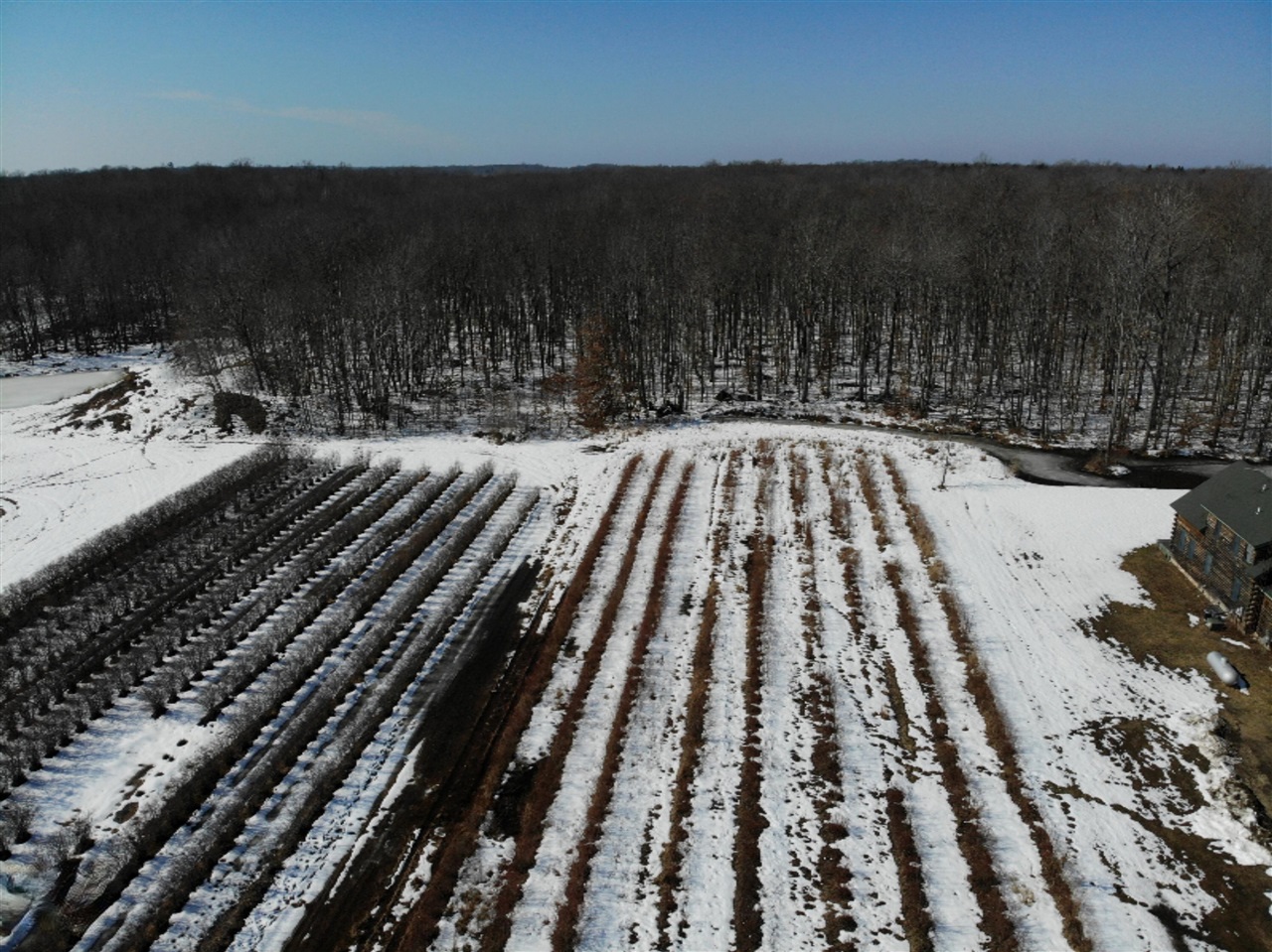 Vl Paw Paw Lake Road Covert, MI 49043 - Photo 5 of 31 Gallery Image 5