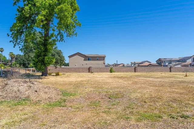 a view of backyard with large tree and wooden fence