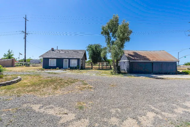 a view of a yard with plants and trees