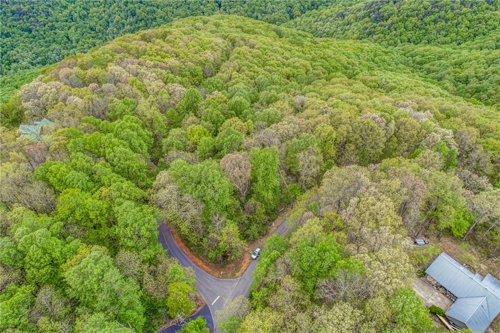 0 High Cliff Road Jasper, GA 30143 - Photo 11 of 38 a view of a yard