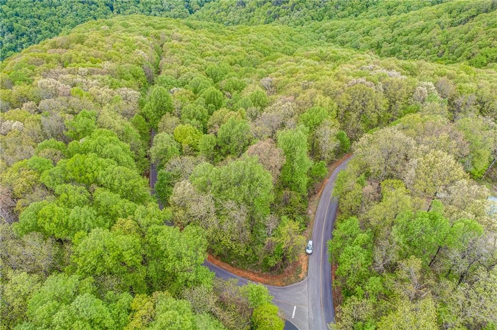 0 High Cliff Road Jasper, GA 30143 - Photo 12 of 38 a view of a yard with plants and wooden fence