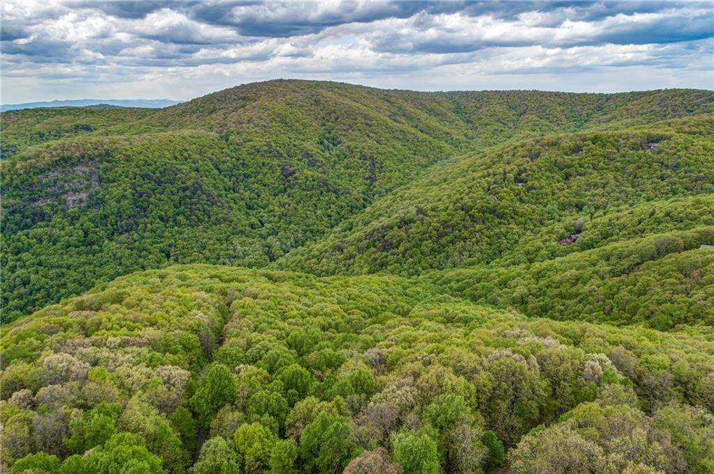 0 High Cliff Road Jasper, GA 30143 - Photo 14 of 38 a view of a big yard with lots of bushes