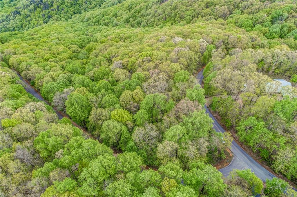 0 High Cliff Road Jasper, GA 30143 - Photo 20 of 38 a view of a lush green forest with large trees