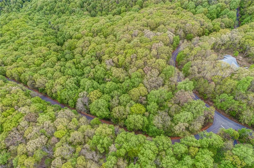 0 High Cliff Road Jasper, GA 30143 - Photo 21 of 38 a view of a large yard with lots of green space