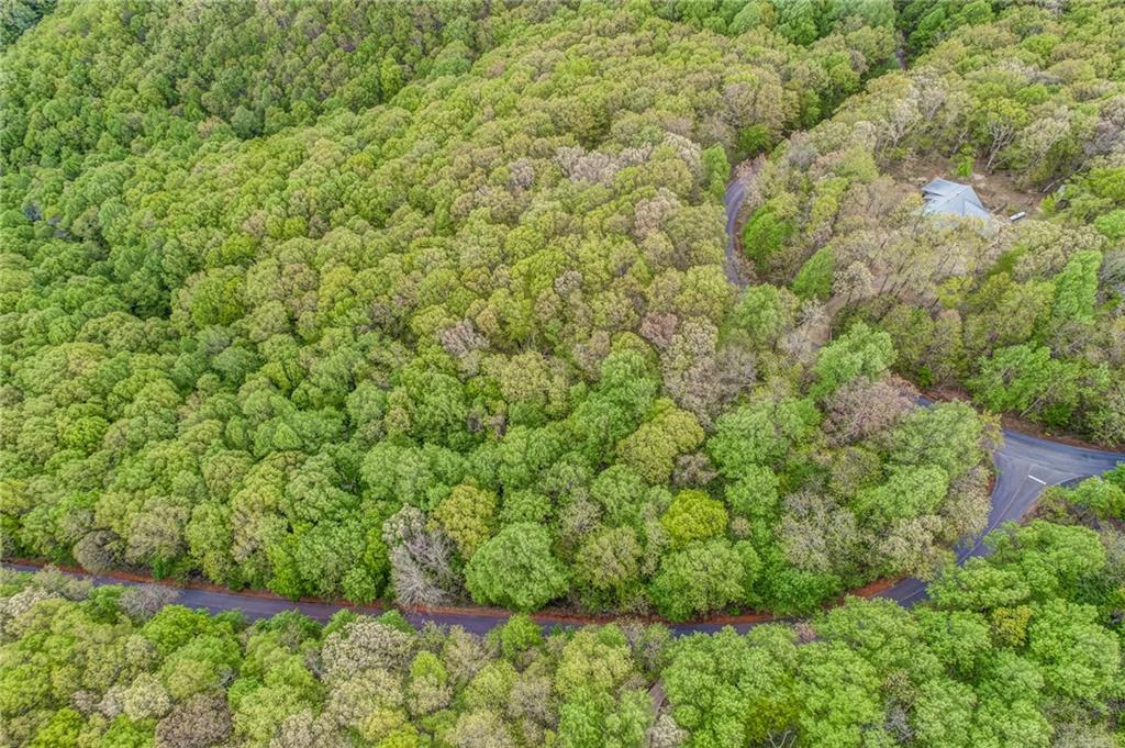 0 High Cliff Road Jasper, GA 30143 - Photo 22 of 38