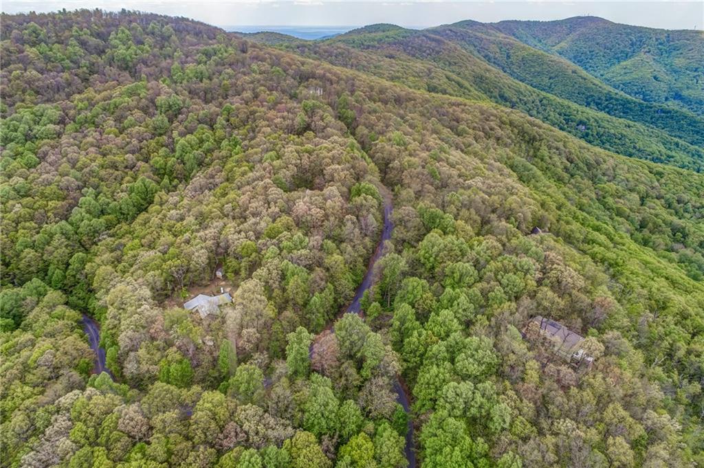 0 High Cliff Road Jasper, GA 30143 - Photo 23 of 38 a view of a lush green forest with lush green forest