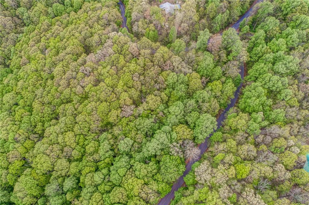 0 High Cliff Road Jasper, GA 30143 - Photo 24 of 38