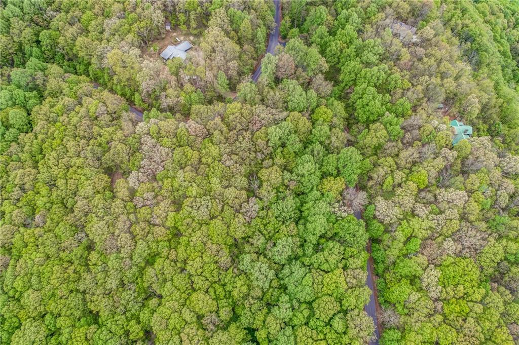 0 High Cliff Road Jasper, GA 30143 - Photo 25 of 38 a view of a lush green field