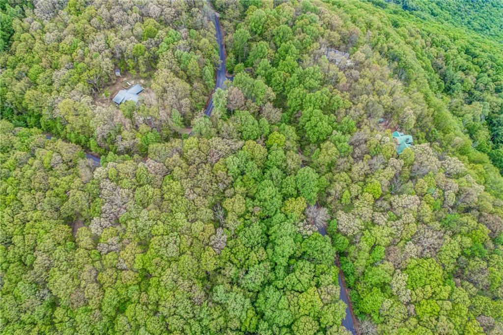 0 High Cliff Road Jasper, GA 30143 - Photo 26 of 38 a view of a big yard with plants and large trees
