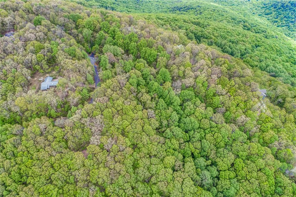 0 High Cliff Road Jasper, GA 30143 - Photo 27 of 38 a view of a lush green field