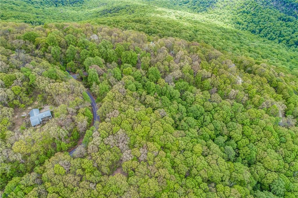 0 High Cliff Road Jasper, GA 30143 - Photo 28 of 38 a view of a big yard with plants and large trees