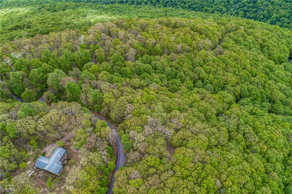 0 High Cliff Road Jasper, GA 30143 - Photo 32 of 38 a view of a house with a lush green forest