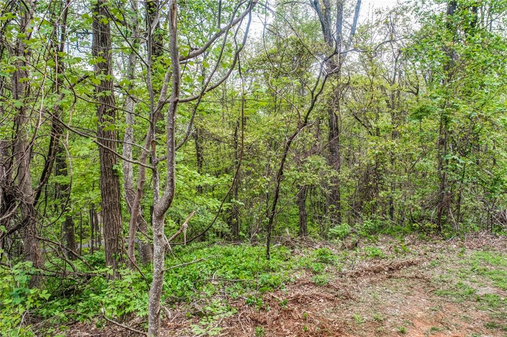 0 High Cliff Road Jasper, GA 30143 - Photo 37 of 38 a view of a yard with plants and trees