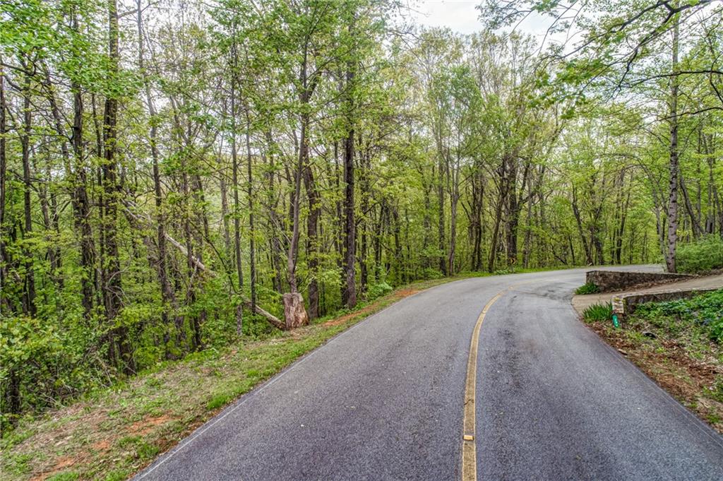 0 High Cliff Road Jasper, GA 30143 - Photo 38 of 38 a view of a yard with plants and trees beside of it