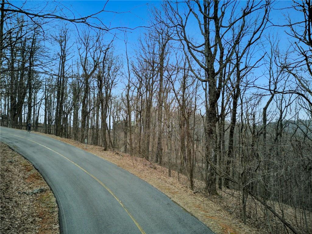 0 High Cliff Road Jasper, GA 30143 - Photo 5 of 38 a view of a backyard of the house