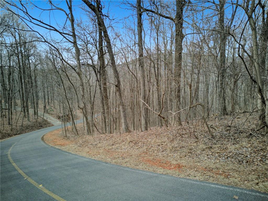 0 High Cliff Road Jasper, GA 30143 - Photo 6 of 38 a view of outdoor space with trees