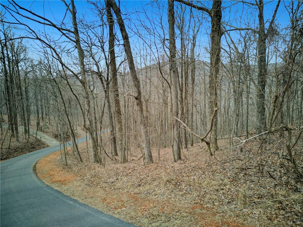 0 High Cliff Road Jasper, GA 30143 - Photo 8 of 38 a view of a backyard of the house