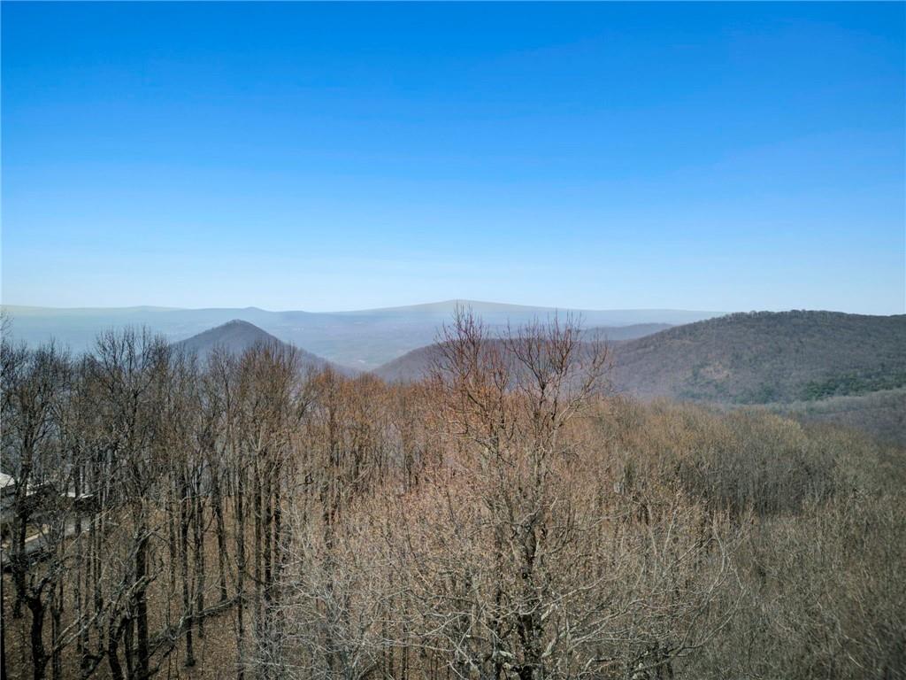 0 High Cliff Road Jasper, GA 30143 - Photo 9 of 38 a view of a dry yard with mountains in the background