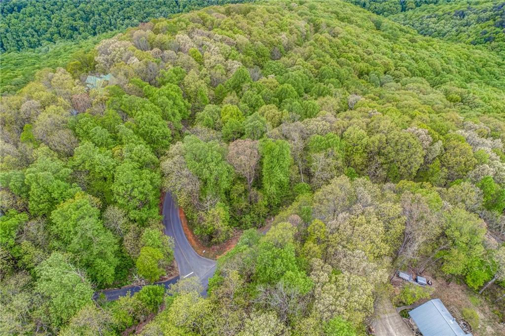 0 High Cliff Road Jasper, GA 30143 - Photo 10 of 38 a view of a forest with a street
