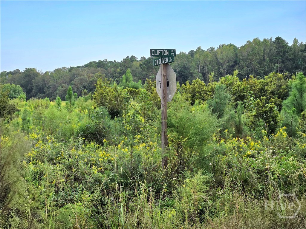 0 G W Oliver Road Statesboro, GA 30458 - Photo 2 of 13