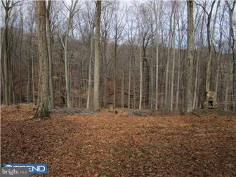 6071 Carversville Road Doylestown, PA 18902 - Photo 6 of 10 Gallery Image 6