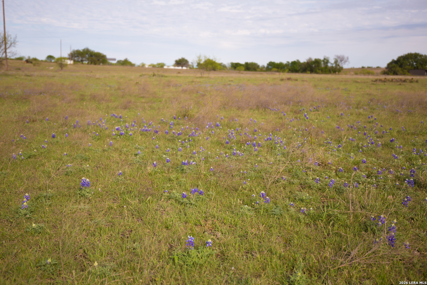 1843 Savanna Ridge Ranch Road Lometa, TX 76853 - Photo 16 of 24