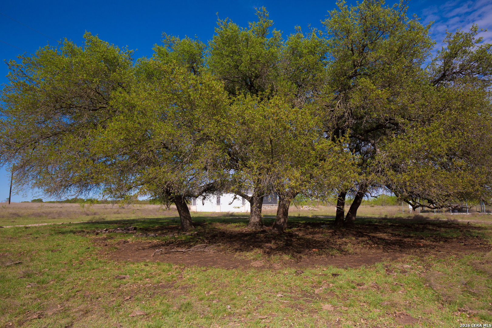 1843 Savanna Ridge Ranch Road Lometa, TX 76853 - Photo 3 of 24