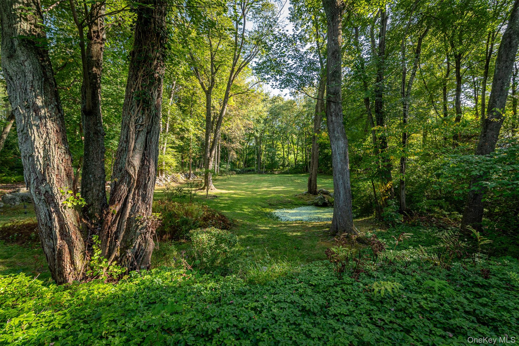 5 Hadley Road Armonk, NY 10504 - Photo 13 of 18 a view of outdoor space with a garden