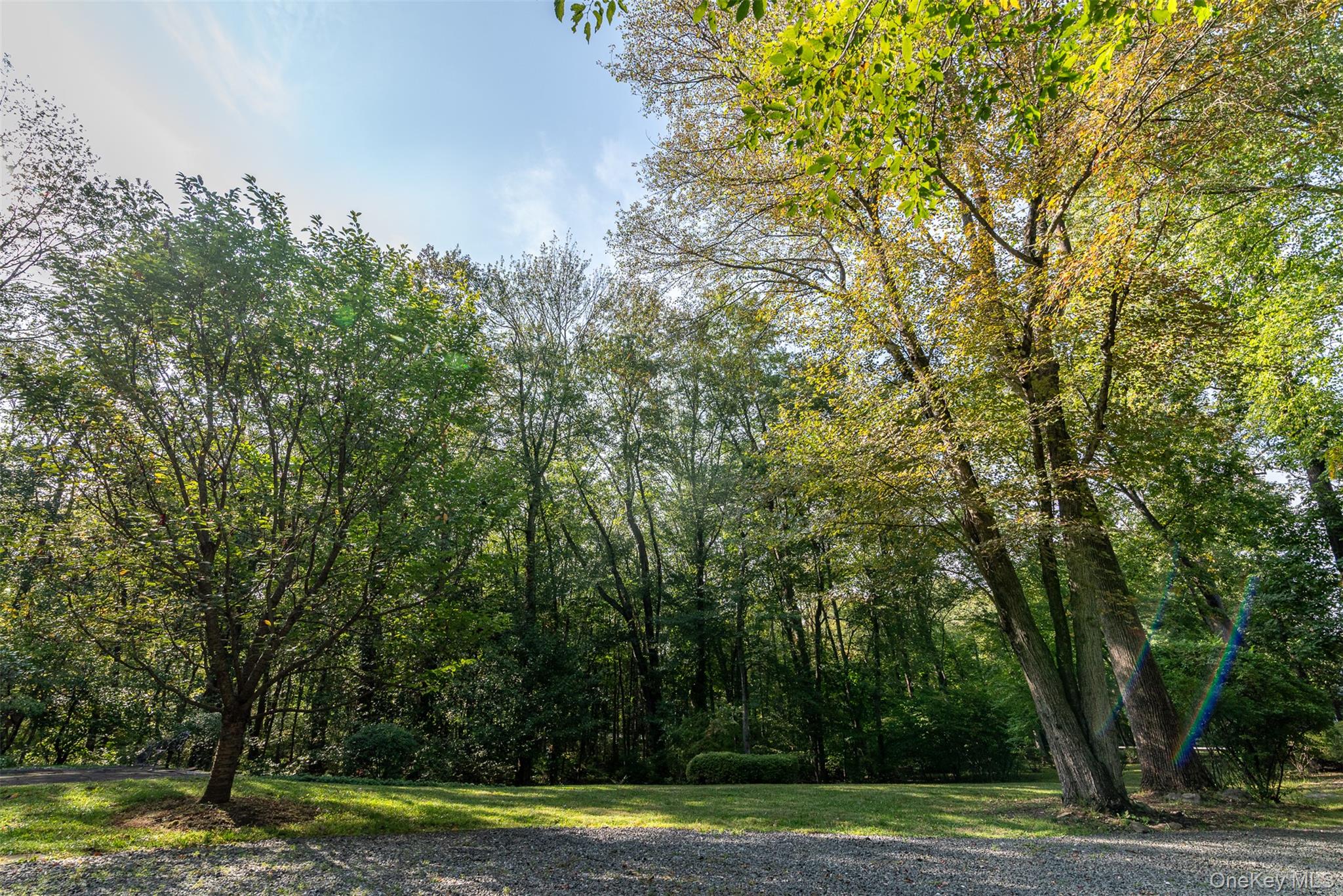 5 Hadley Road Armonk, NY 10504 - Photo 18 of 18 a view of a yard with large trees