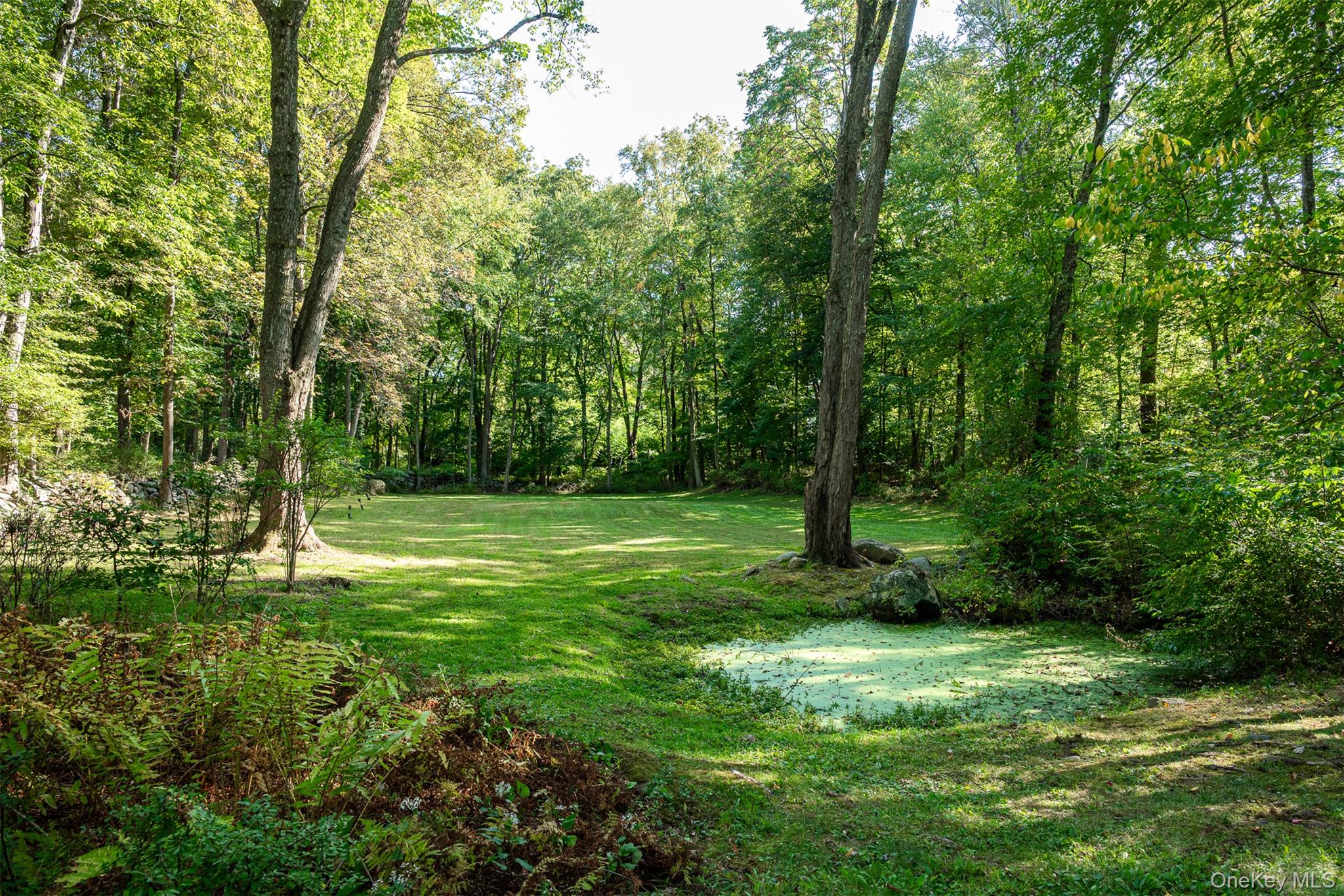 5 Hadley Road Armonk, NY 10504 - Photo 10 of 18 a backyard of a house with lots of green space