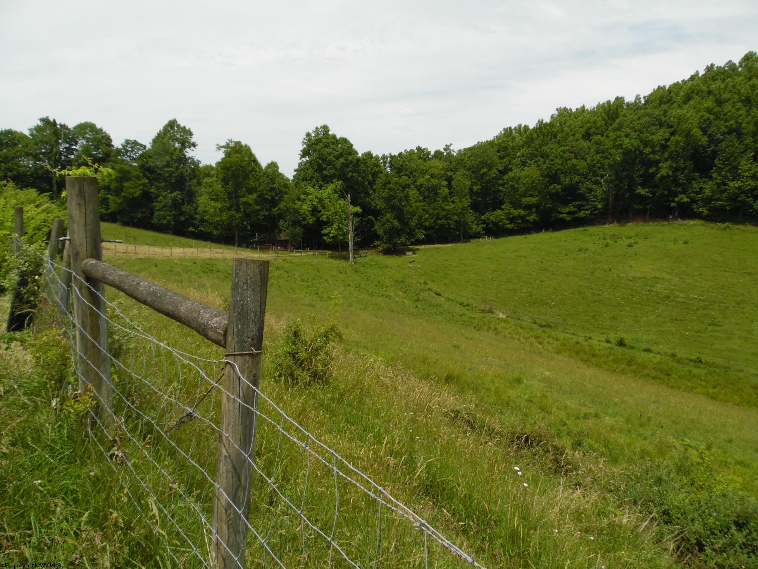 2100 Bulls Road Buckhannon, WV 26201 - Photo 17 of 22 Gallery Image 17