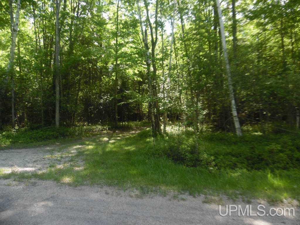 Tbd North Tbd N 75th Road, Unit 6 Gladstone, MI 49837 - Photo 13 of 13