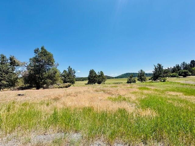 Murrelet Road Klamath Falls, OR 97601 - Photo 1 of 10 1