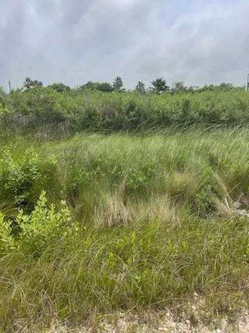 $74,990 | 0 South Sonny Lane, Galveston, TX 77554