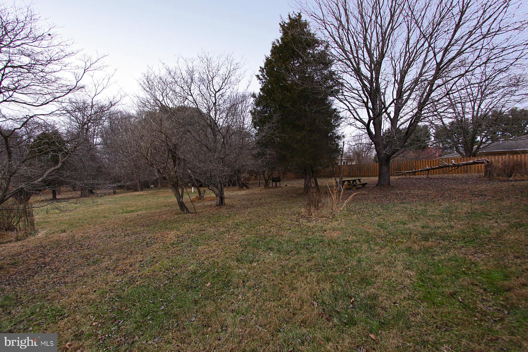 1546 Crowell Road Vienna, VA 22182 - Photo 4 of 5 Exterior (Rear)