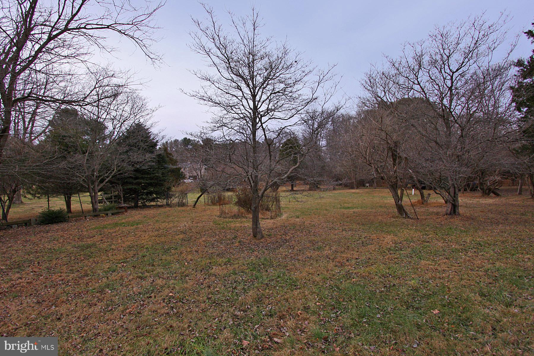 1546 Crowell Road Vienna, VA 22182 - Photo 5 of 5 Exterior (Rear)