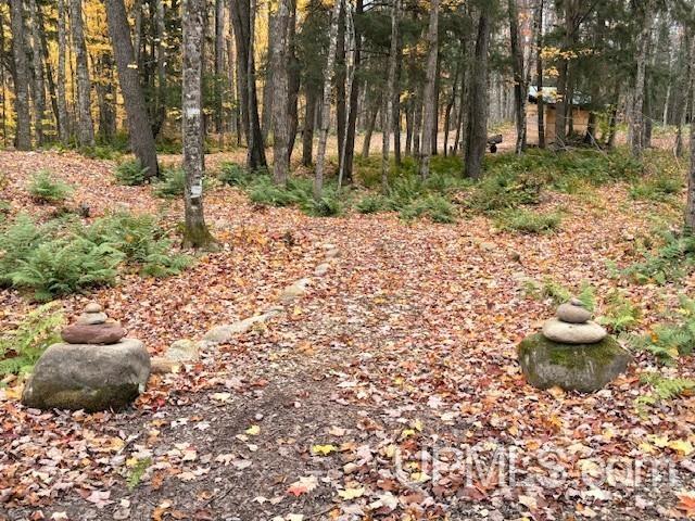 N7228 Rock River Road Deerton, MI 49822 - Photo 29 of 46