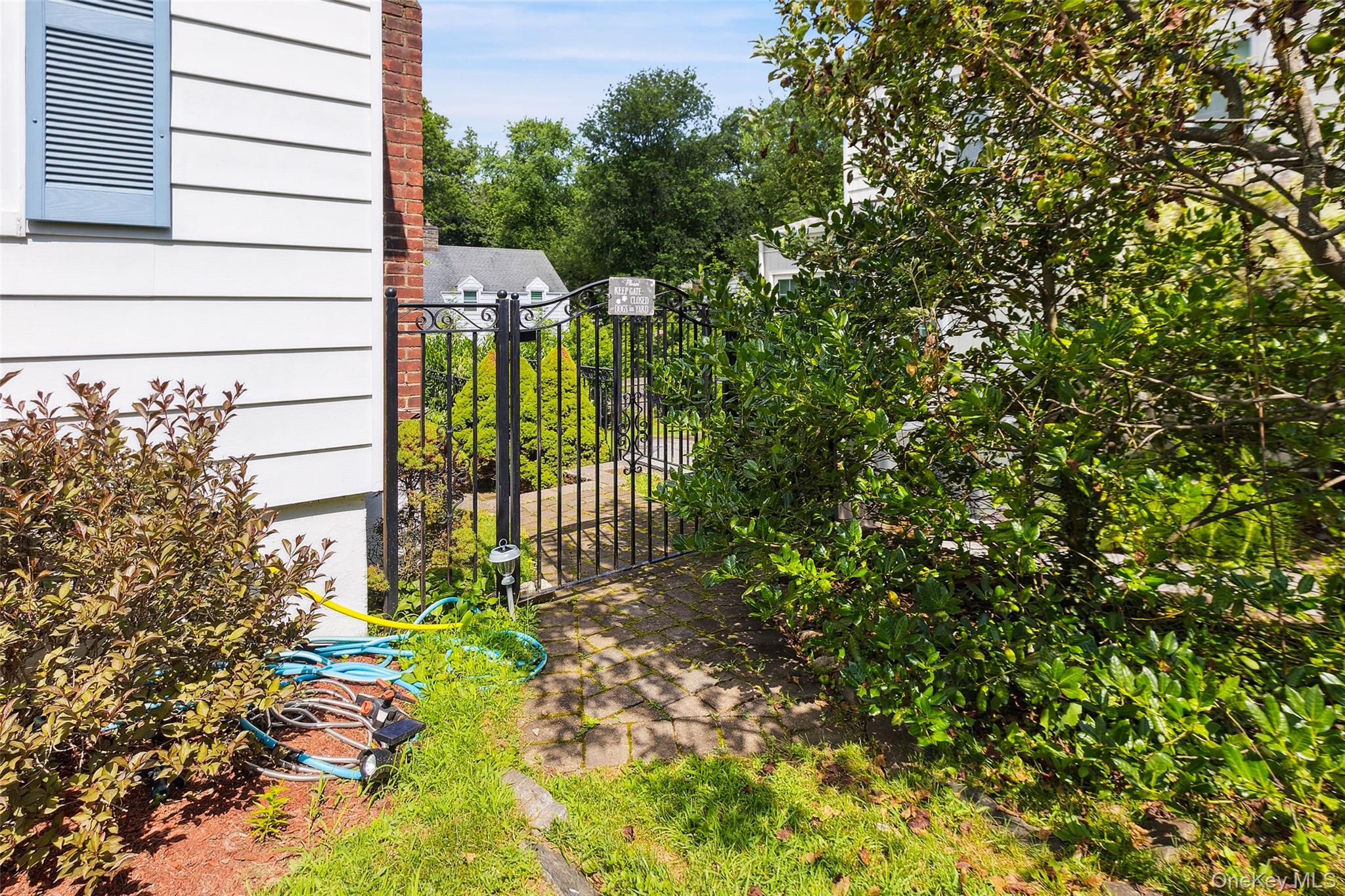 69 Ardell Road Bronxville, NY 10708 - Photo 5 of 48 a view of a garden with plants