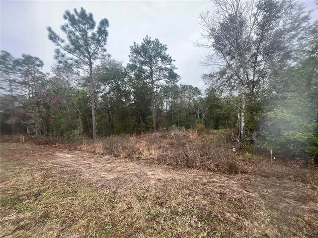 $15,000 | Tbd Northeast Tbd Ne 11th Street South, Williston, FL 32696