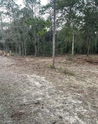 $15,000 | Tbd Northeast Tbd Ne 11th Street South, Williston, FL 32696