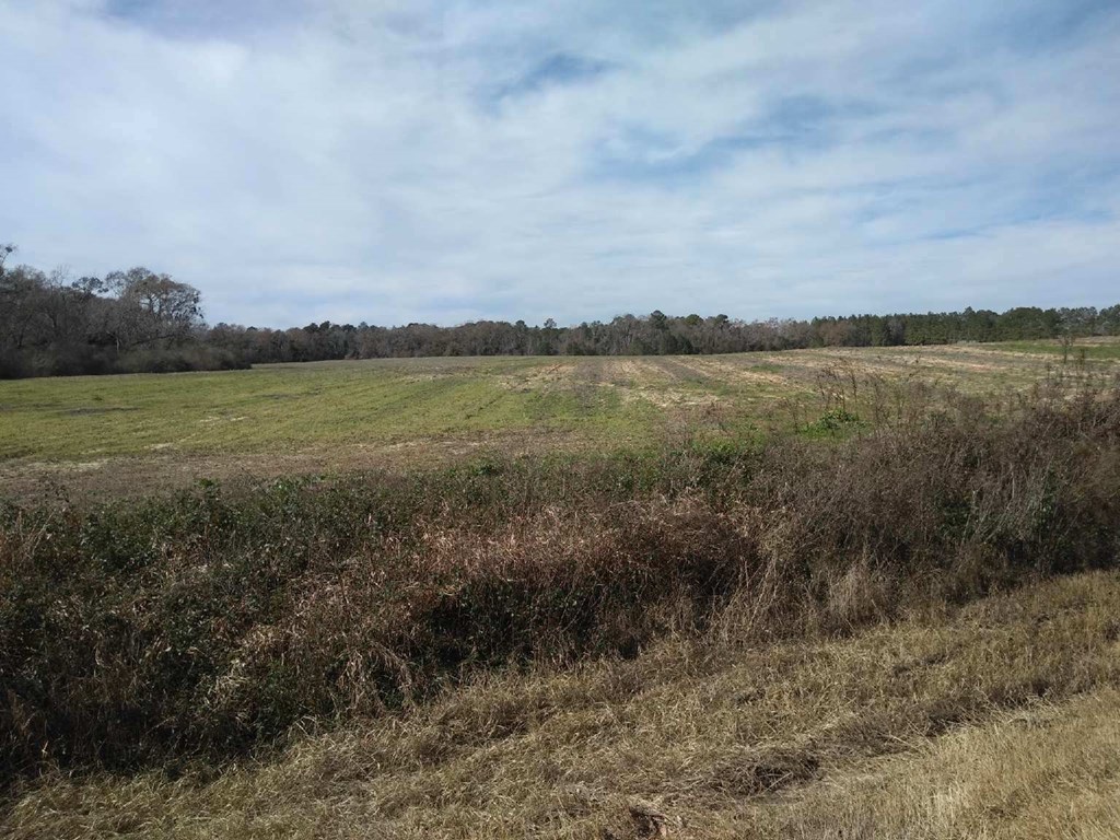 0 Cecil Varnum Road Dothan, AL 36301 - Photo 2 of 4