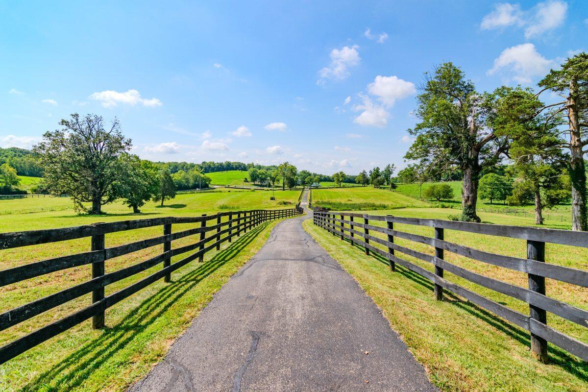 2333 Cane Ridge Road Carlisle, KY 40311 - Photo 55 of 55 2333CaneRidge-0004