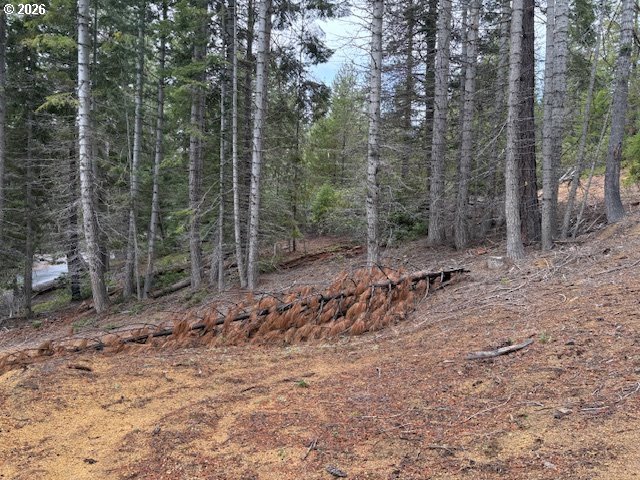 6 Royce Pine Road Crescent Lake, OR 97733 - Photo 11 of 11 a view of a forest with trees