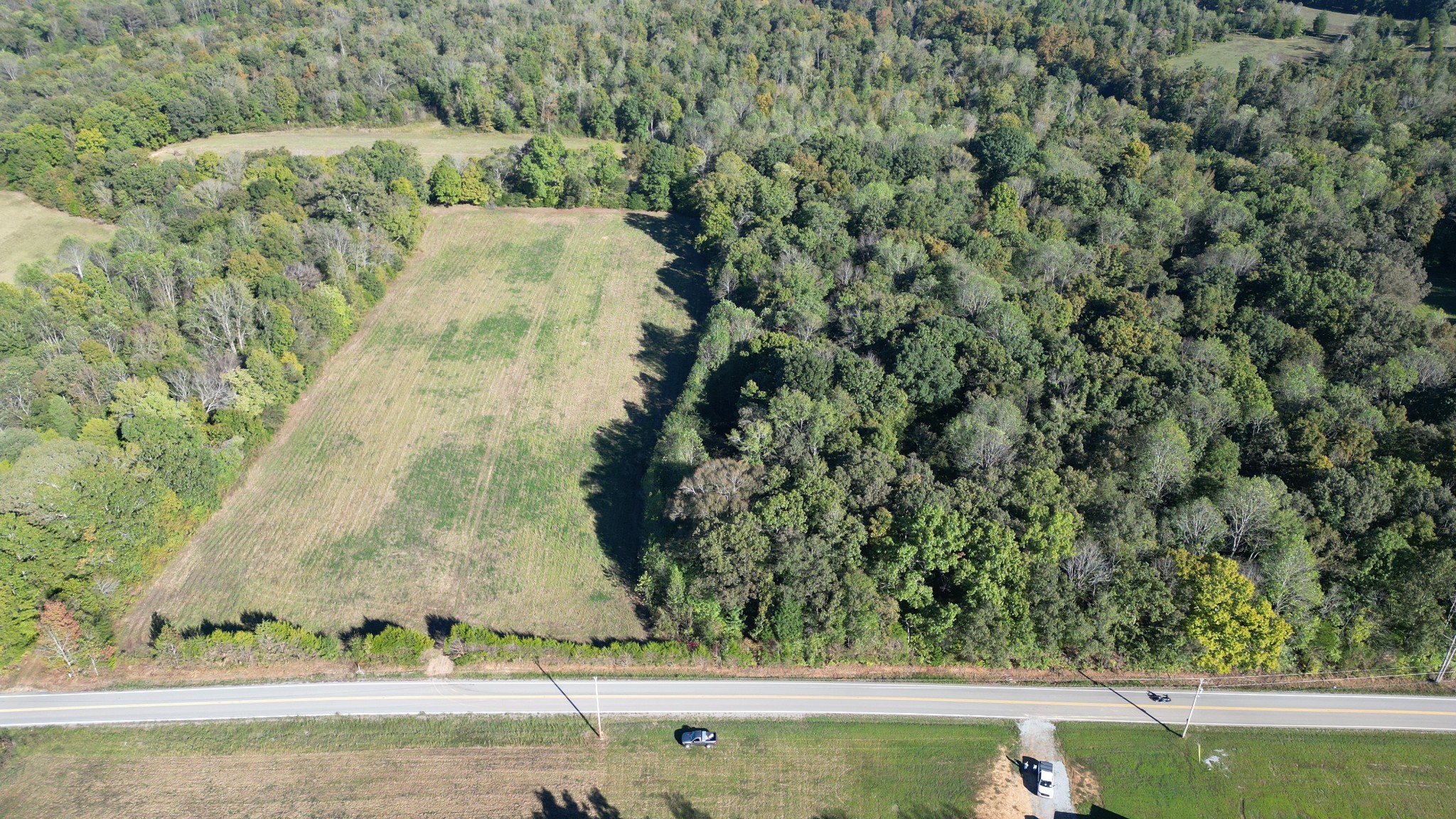 10 Hayes Ridge Road Indian Mound, TN 37079 - Photo 11 of 14 a view of a bird bath