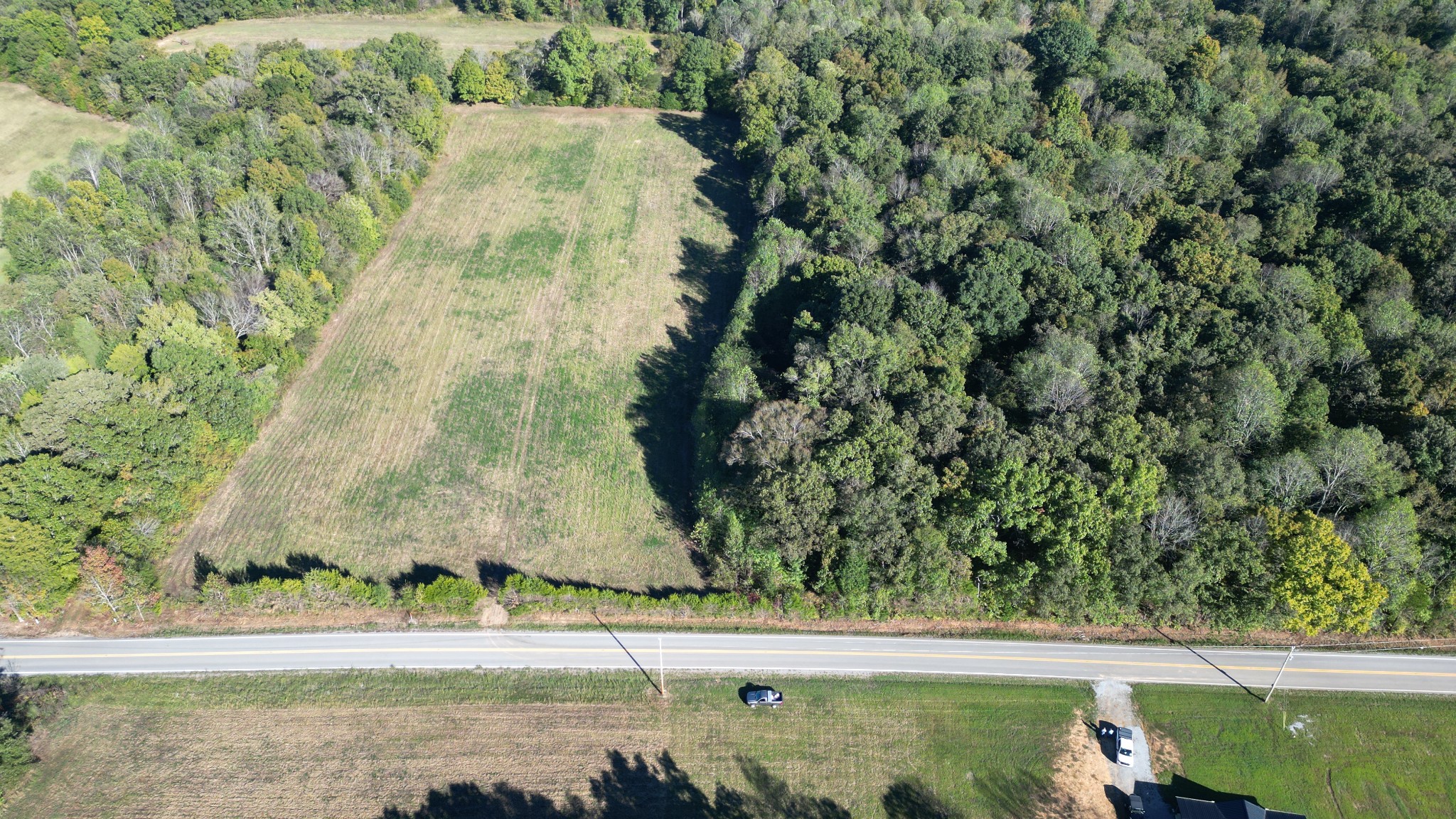 10 Hayes Ridge Road Indian Mound, TN 37079 - Photo 13 of 14 a view of a yard