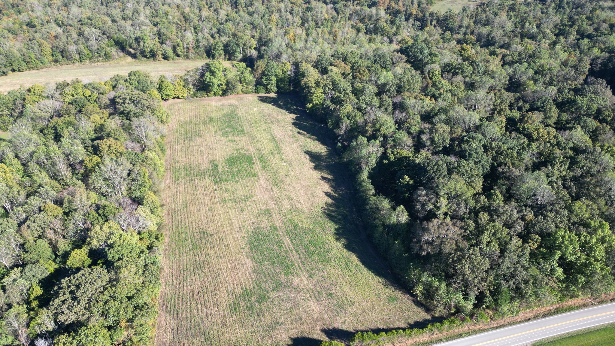 10 Hayes Ridge Road Indian Mound, TN 37079 - Photo 2 of 14 a view of a yard with plants
